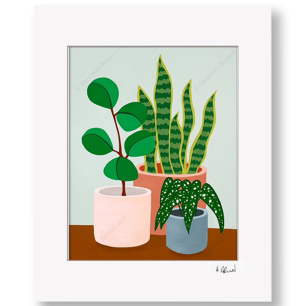 PLANT #2602