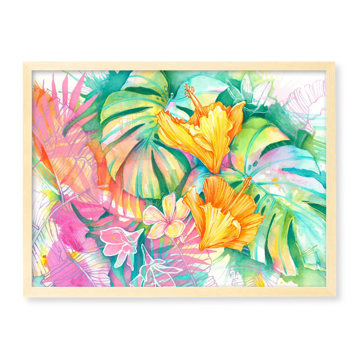 MONSTERA RAINBOW