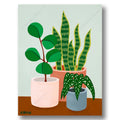 PLANT #2602