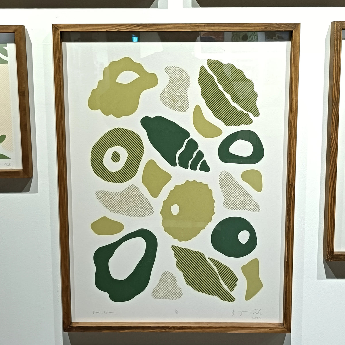 SHELLS, CITRUS