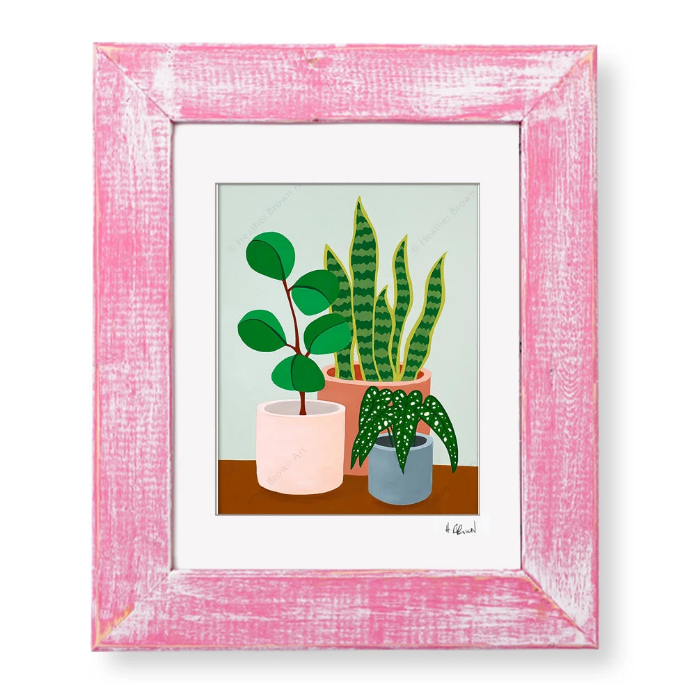 PLANT #2602