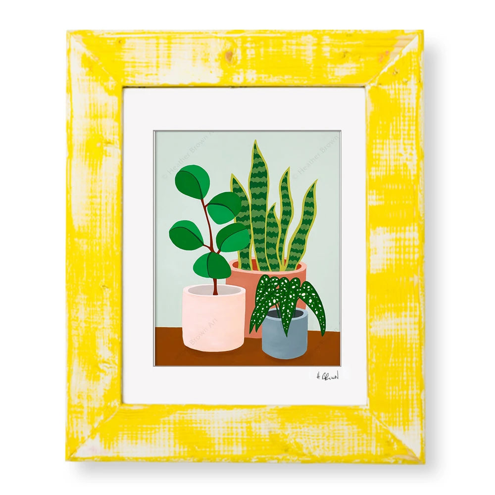PLANT #2602