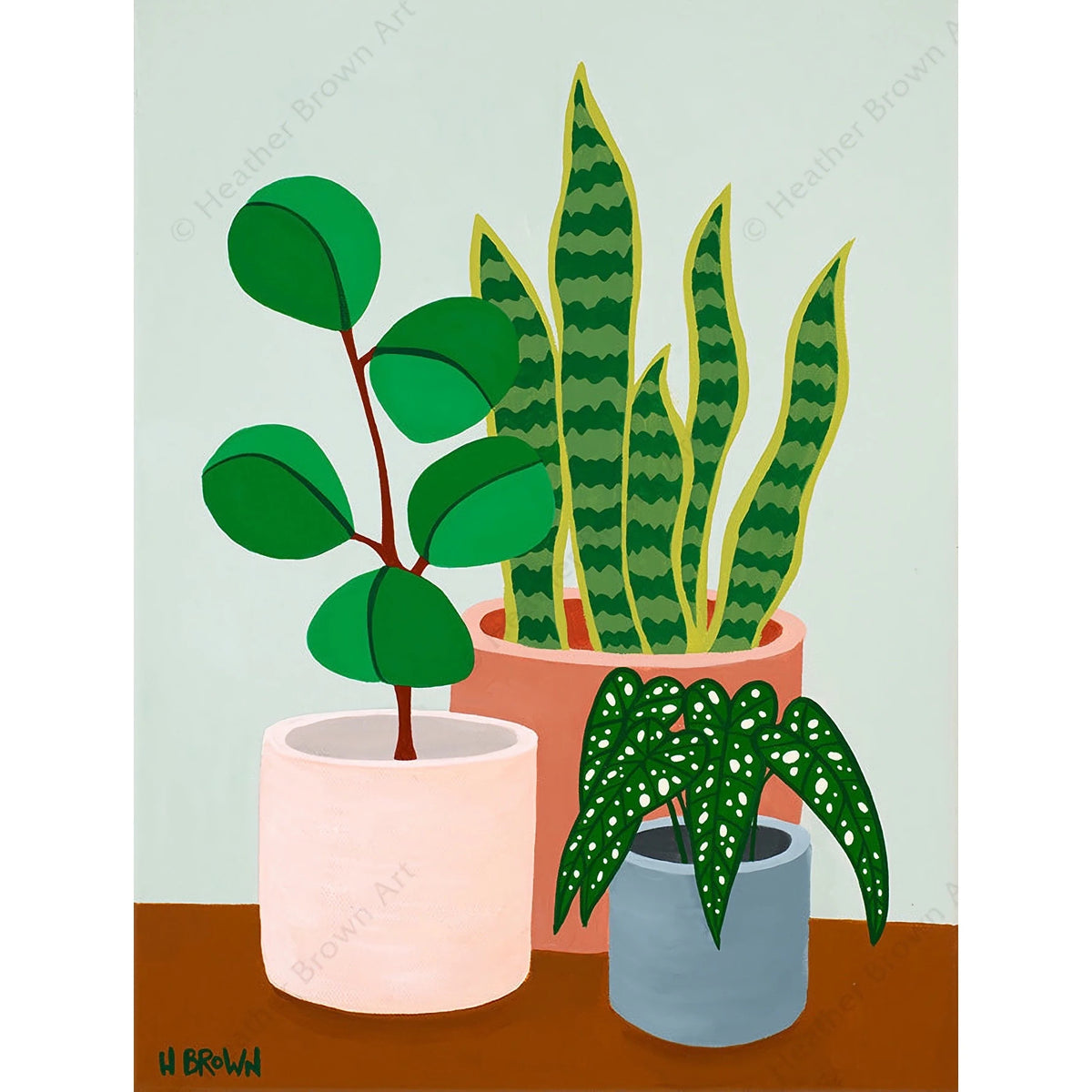 PLANT #2602